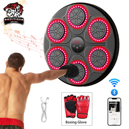 Wall-Mounted Music Boxing Trainer